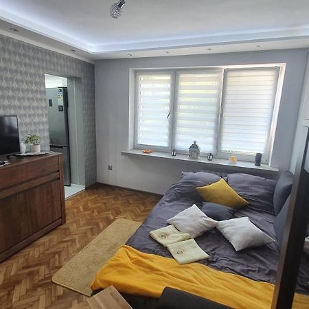 Apartament Park Saski 桑多梅日 外观 照片