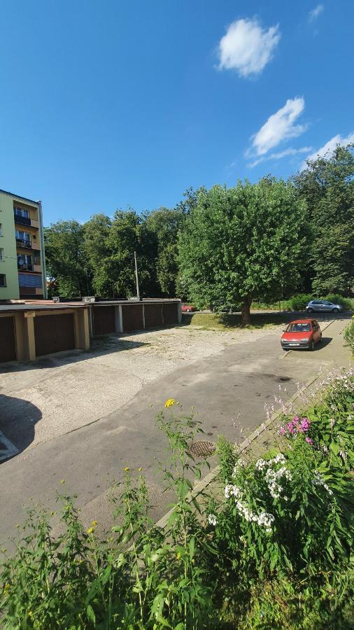 Apartament Park Saski 桑多梅日 外观 照片