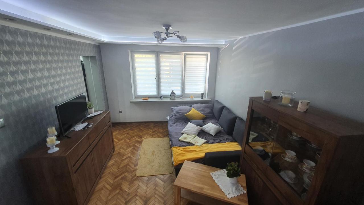 Apartament Park Saski 桑多梅日 外观 照片
