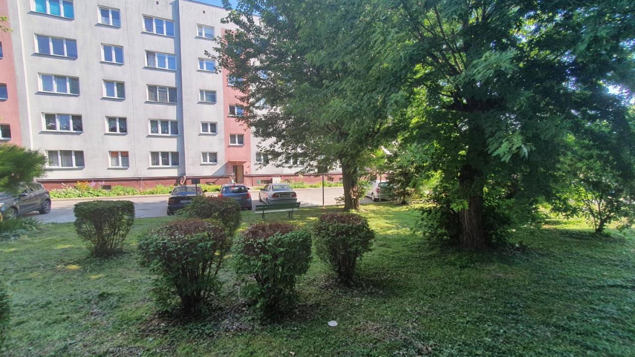 Apartament Park Saski 桑多梅日 外观 照片